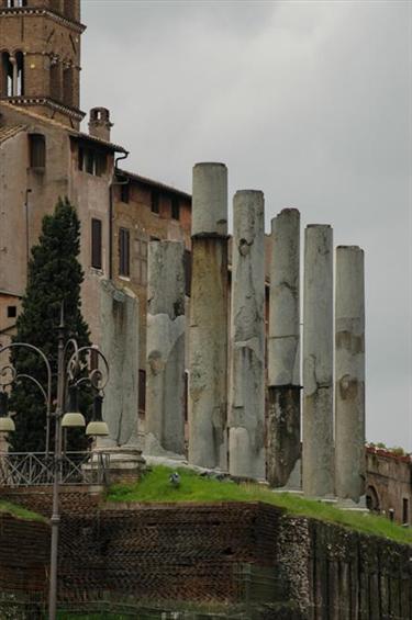 Roman Forum and Palatine Hill