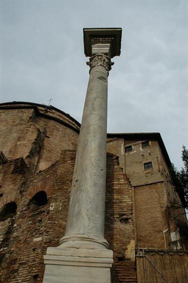 Roman Forum and Palatine Hill