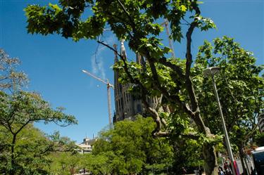 Sagrada Familia