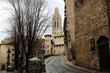 The Collegiate Church of Sant Feliu