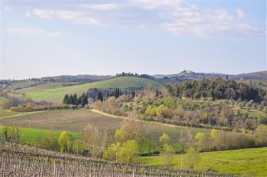 Tuscan Countryside, Tuscany, Italy