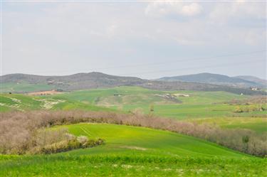 Tuscan Countryside, Tuscany, Italy