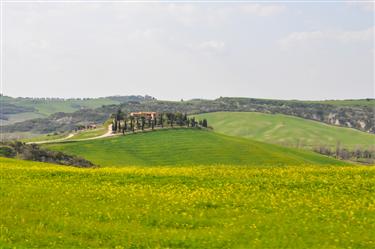 Tuscan Countryside, Tuscany, Italy