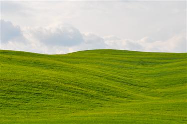 Tuscan Countryside, Tuscany, Italy