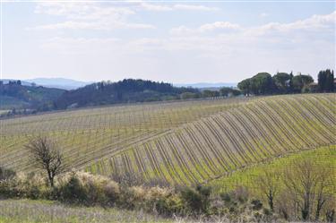 Tuscan Countryside, Tuscany, Italy