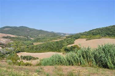 Tuscan Countryside, Tuscany, Italy