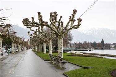 Vevey Center, Vevey