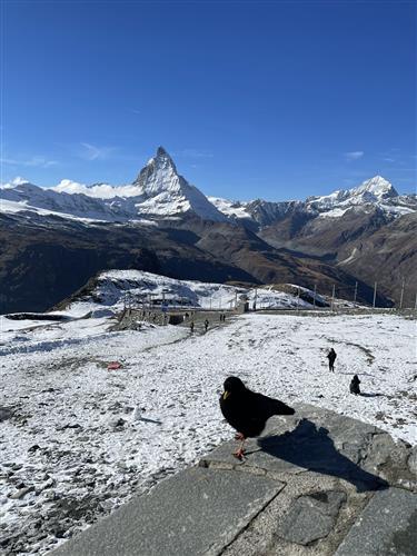 Zermatt to Gornergrat Train