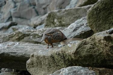 Zoo Salzburg