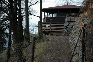 Zoo Salzburg