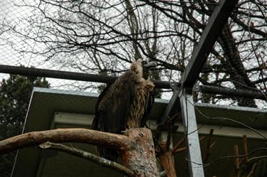 Zoo Salzburg