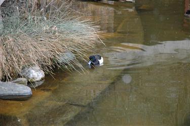 Zoo Salzburg