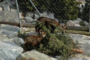 Zoo Salzburg