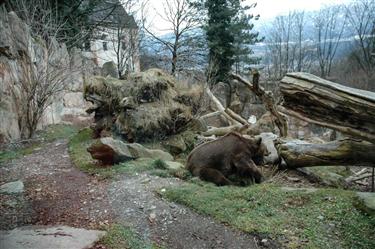 Zoo Salzburg