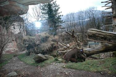 Zoo Salzburg