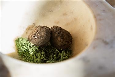 El Celler de Can Roca menu,  Blanc Chocolate Truffle