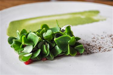 Noma menu, Tartar and Sorrel, Juniper and Tarragon